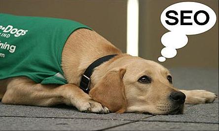 哪些類(lèi)型的改動(dòng)會(huì )影響到網(wǎng)站的seo？